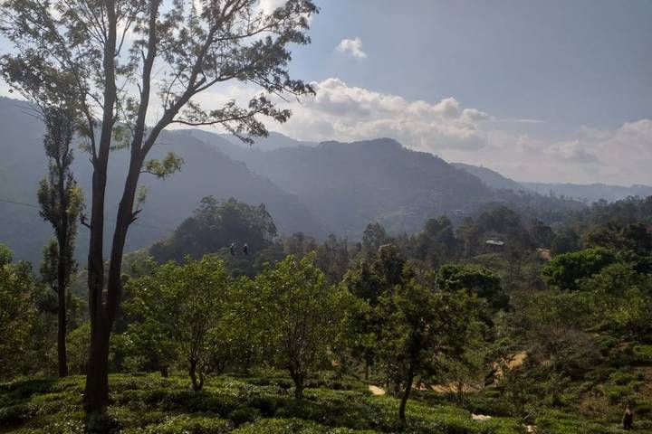 Itinerary Image 2