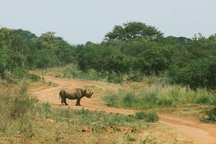 Itinerary Image 2