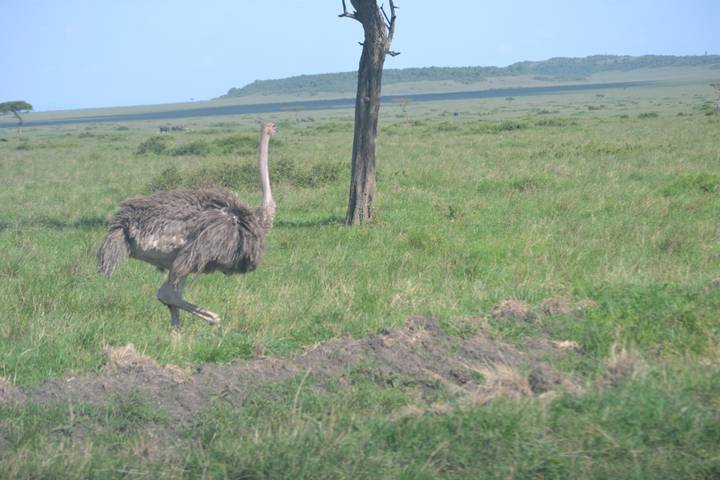 Itinerary Image 2