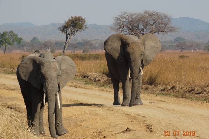 Itinerary Image 3