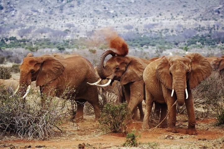 Itinerary Image 2