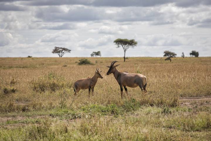 Itinerary Image 3