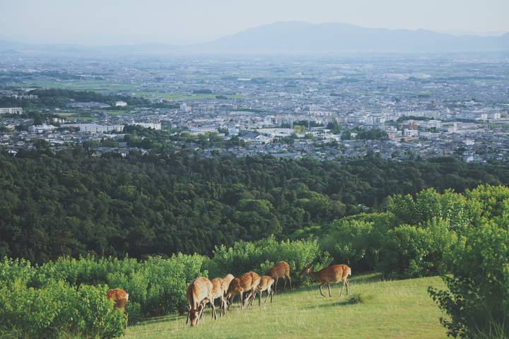 Itinerary Image 2