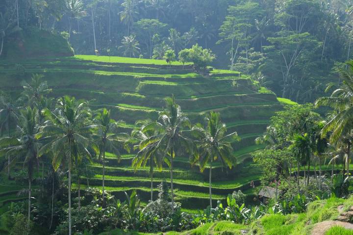 Itinerary Image 2