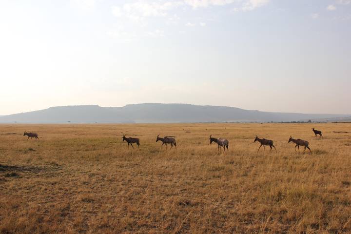Itinerary Image 3