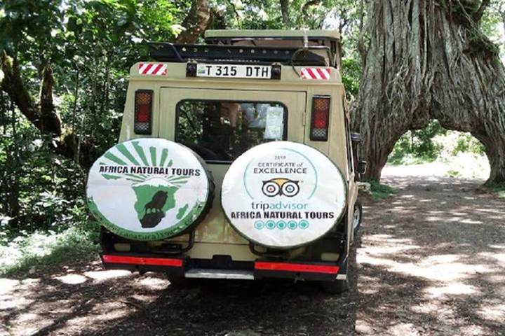 Discover Our Most Affordable & Budget-Friendly 3-Day Guided Tanzania Group Camping Safari from Arusha in Tanzania