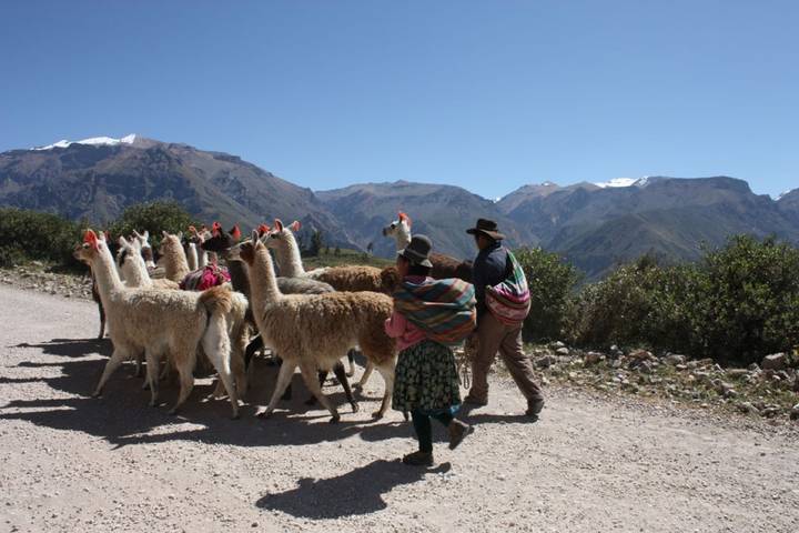 Itinerary Image 2