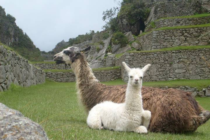 Itinerary Image 3