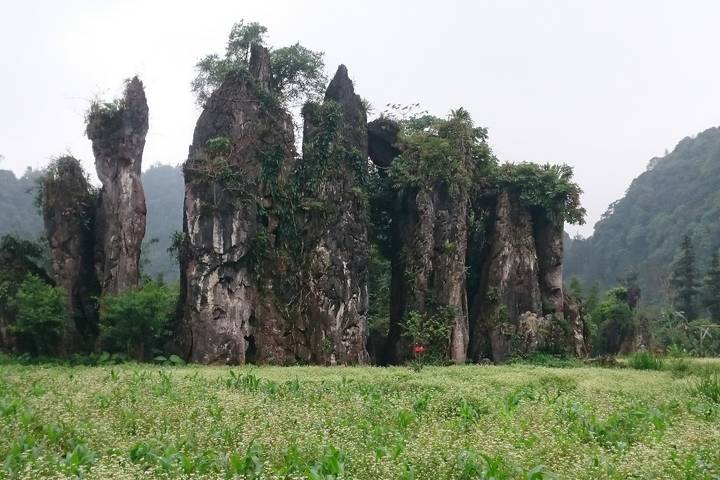 Itinerary Image 1