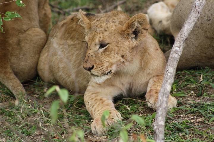 The Best of Kenya Adventure 7 Days 6 Nights