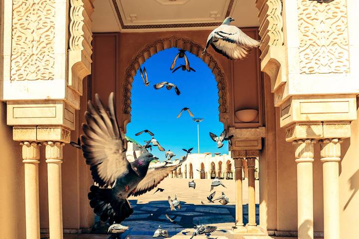 Itinerary Image 1