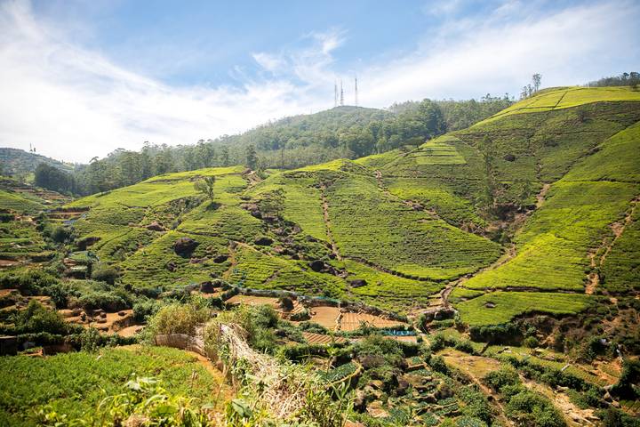 Itinerary Image 1