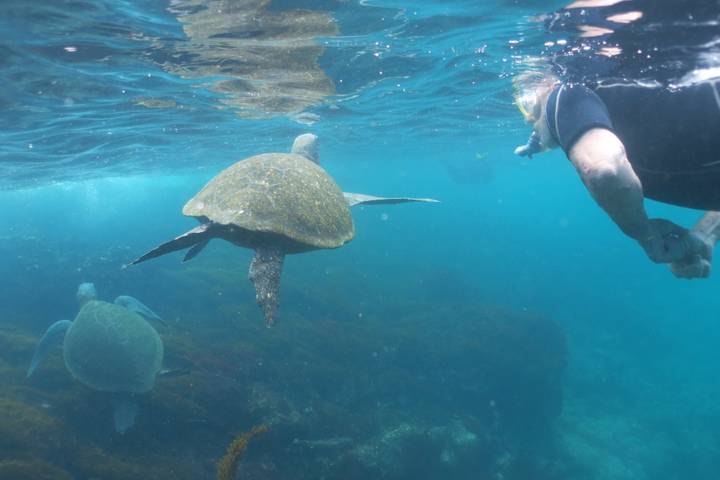 Itinerary Image 1