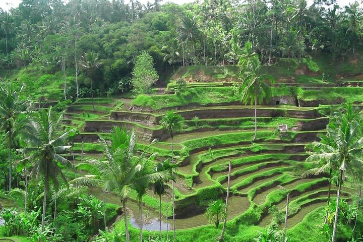 Itinerary Image 3