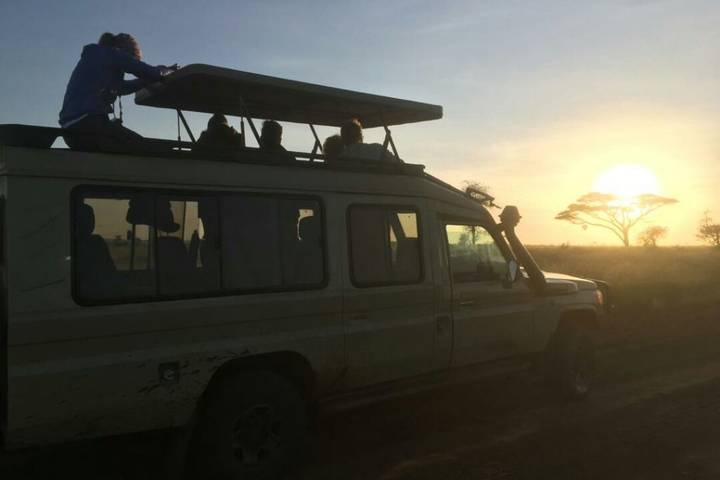 6 Days Serengeti Joining Group Safari classic lodge