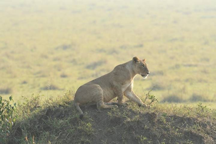Itinerary Image 3