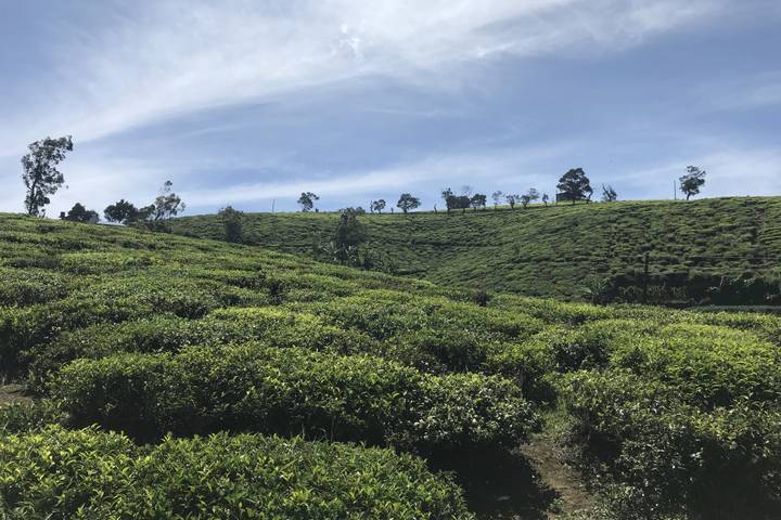 Itinerary Image 1