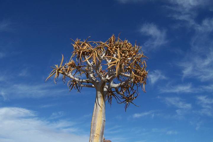 Itinerary Image 2