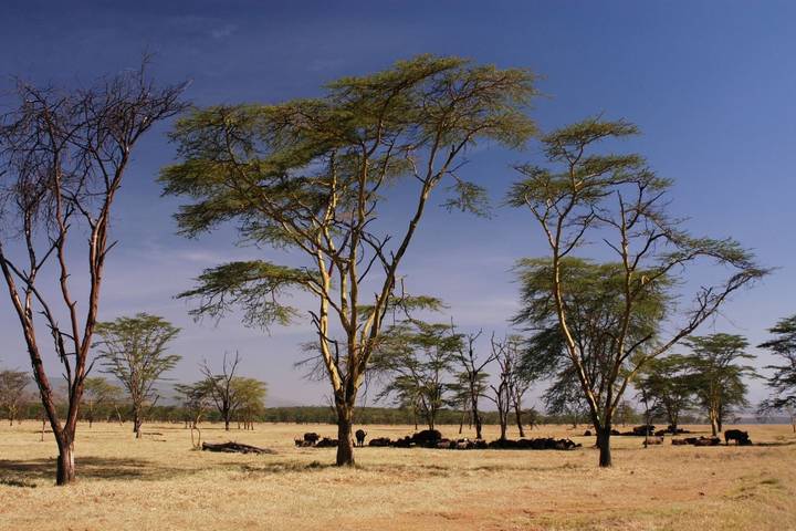 Itinerary Image 3