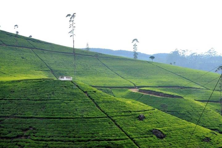 Itinerary Image 2