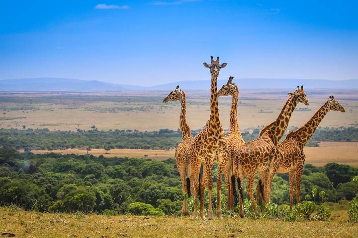 Itinerary Image 1