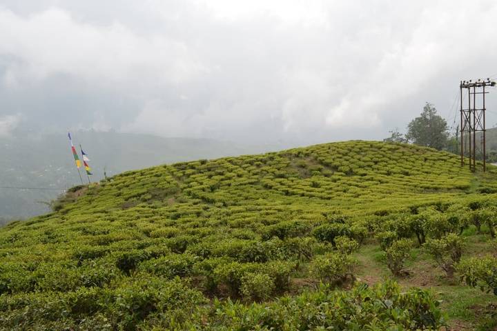 Itinerary Image 1