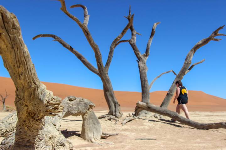 Itinerary Image 2