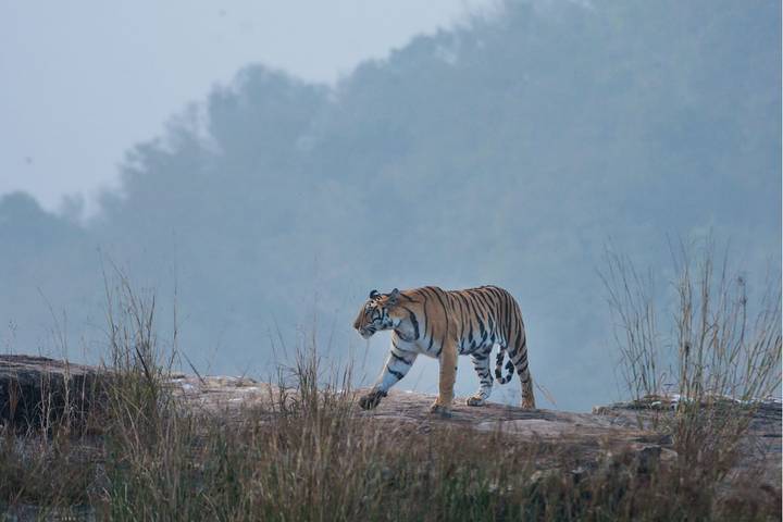 Itinerary Image 3