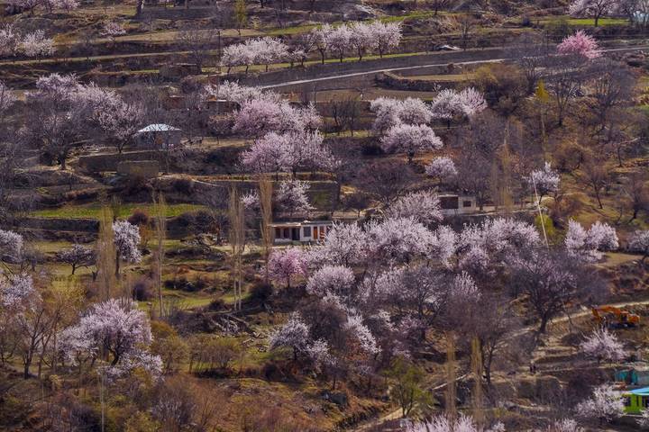 Itinerary Image 2
