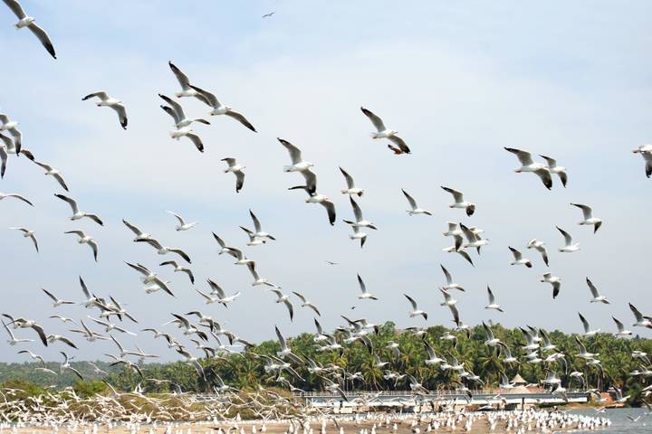 Itinerary Image 1