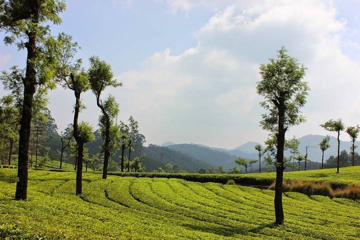 Itinerary Image 1