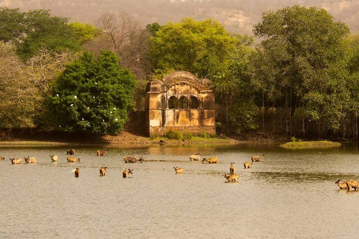 Itinerary Image 2