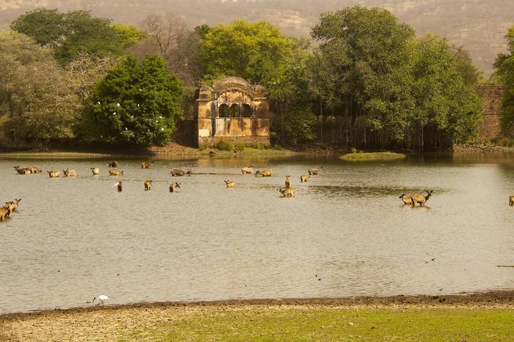 Itinerary Image 1