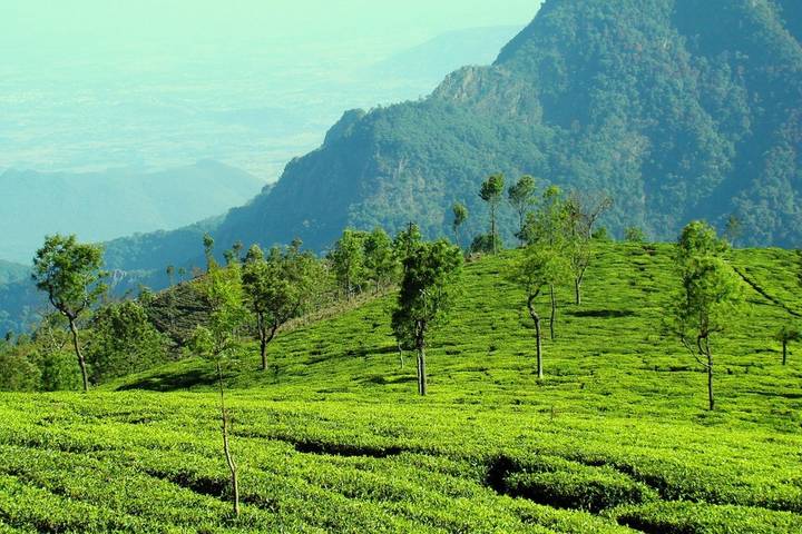 Itinerary Image 2