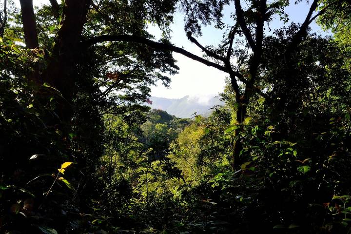 Itinerary Image 2
