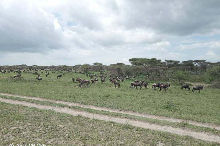 Itinerary Image 3