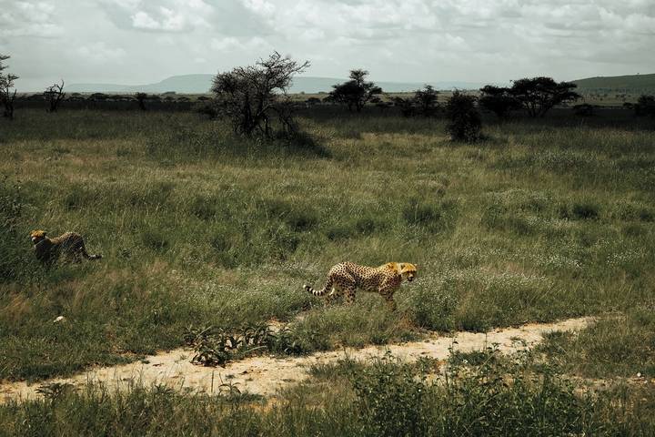 Itinerary Image 2