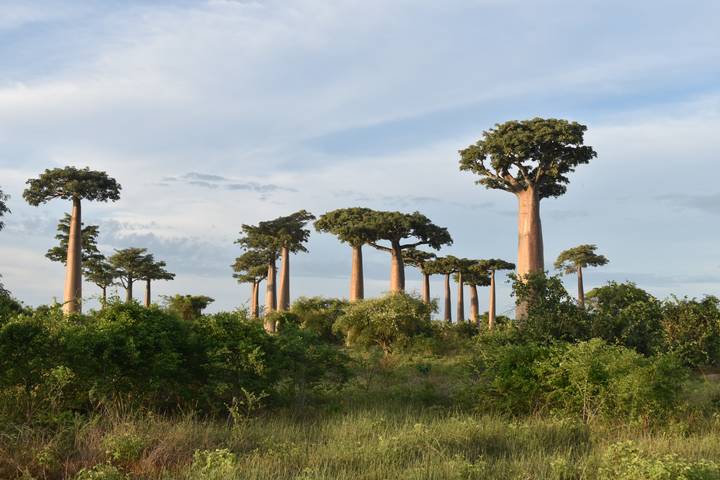 Itinerary Image 3