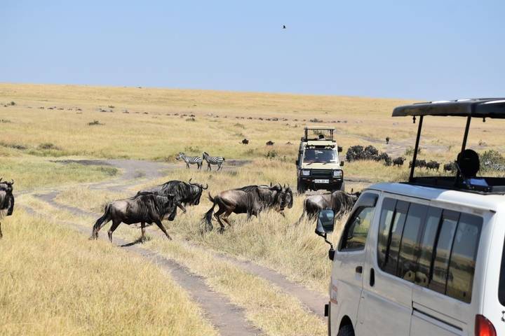 Itinerary Image 1