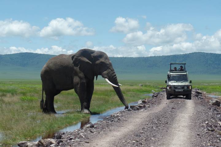 Itinerary Image 2