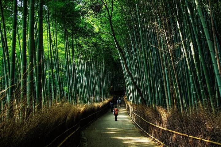 Itinerary Image 3
