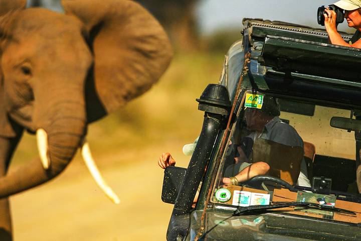 Tailor-Made Best 7 Days Private Kenya Tour with 4-stars Lodges, Daily Start