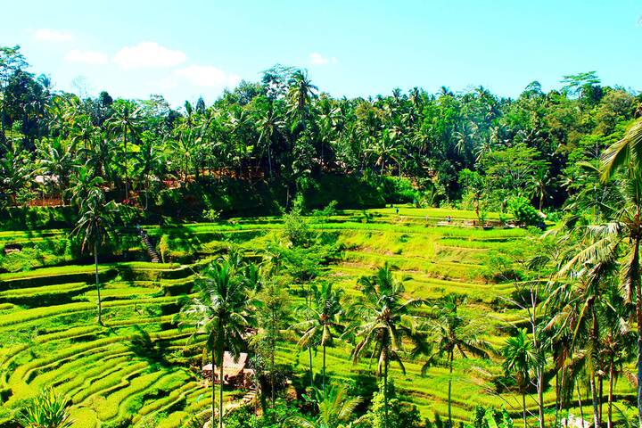 Itinerary Image 2