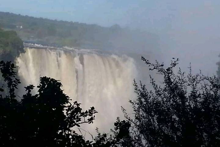 8 Days Safari tour itinerary for Botswana: Venture Into The Untamed Wilderness Of Africa