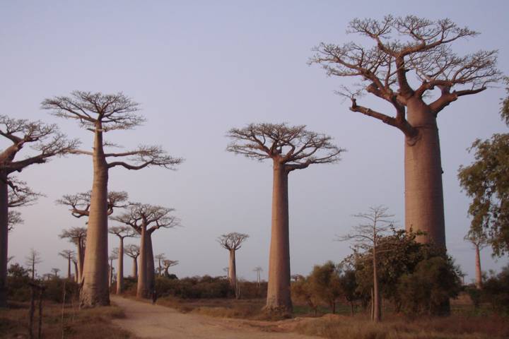 Itinerary Image 1