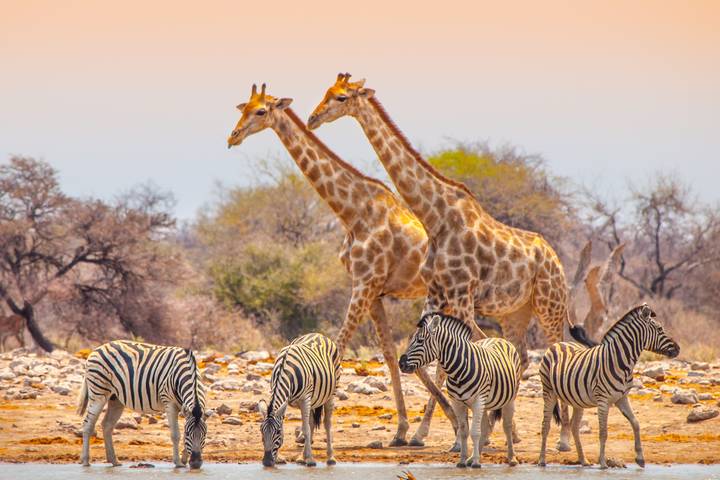 Itinerary Image 3