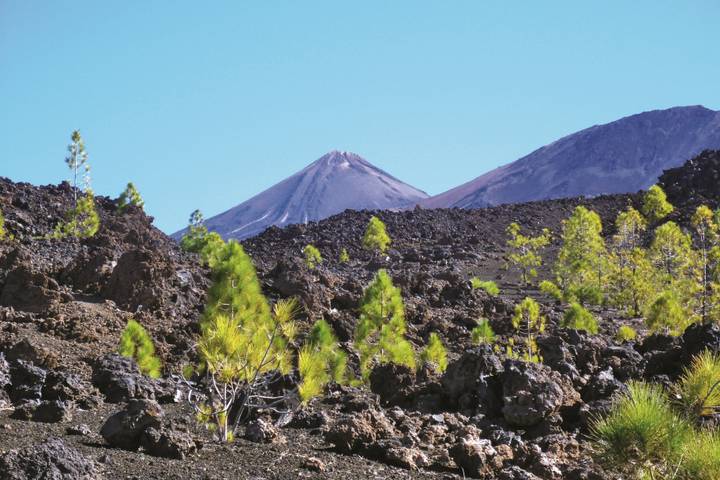 Itinerary Image 2