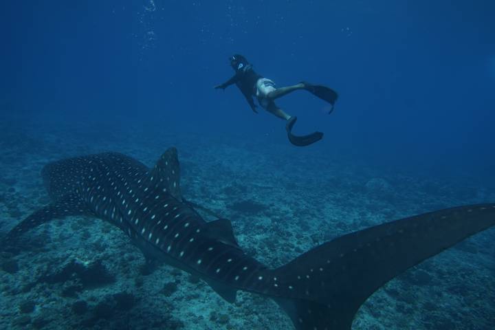 Itinerary Image 3