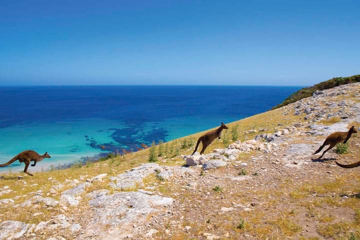 Itinerary Image 1