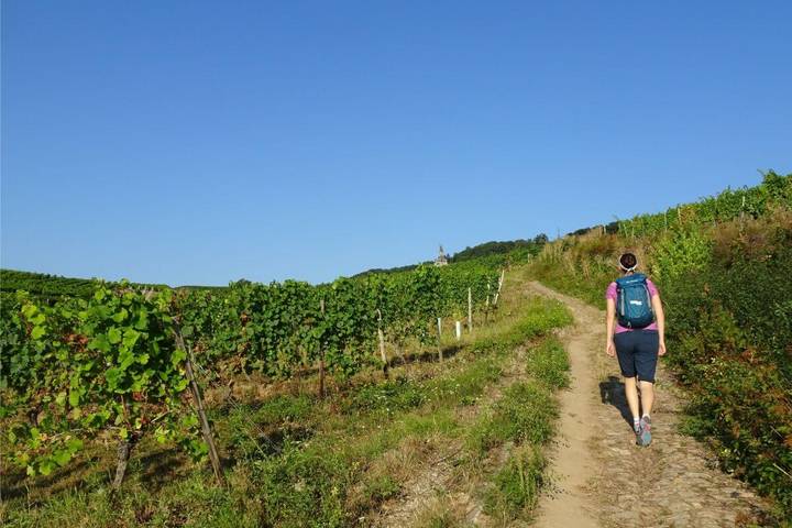 Itinerary Image 1